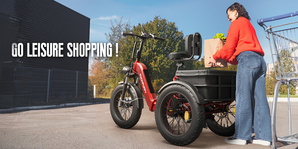 dual battery   with 110   range rear high power brushless motor 48v 15ah 18ah removable battery 500lb load capacity 20 tires and large basket suitable for fishing traveling essential for elderly travel   plus Product details 5