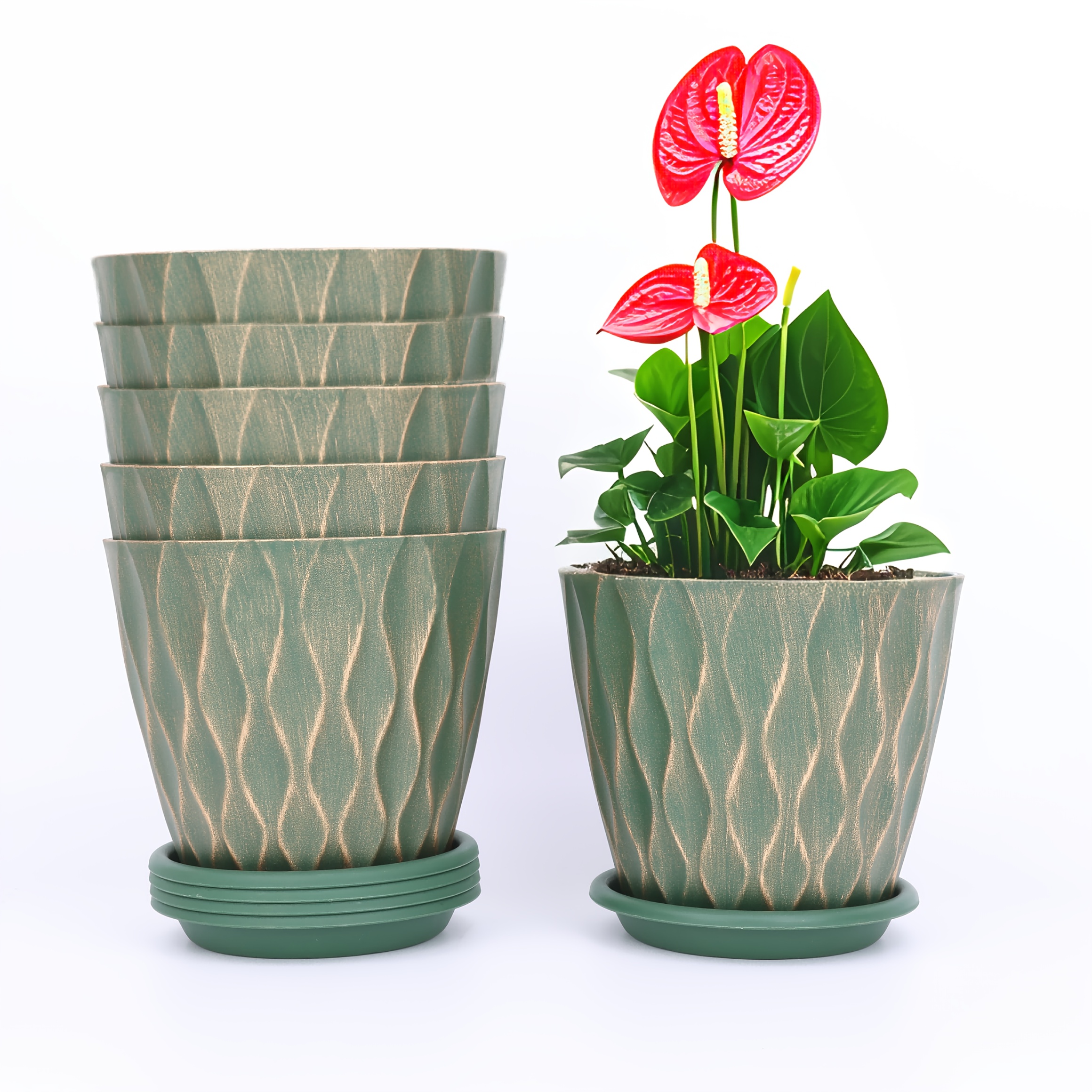 aglaonema butterfly care Aglaonema Butterfly Small Plant in Netpot – vridhigarden main image 0