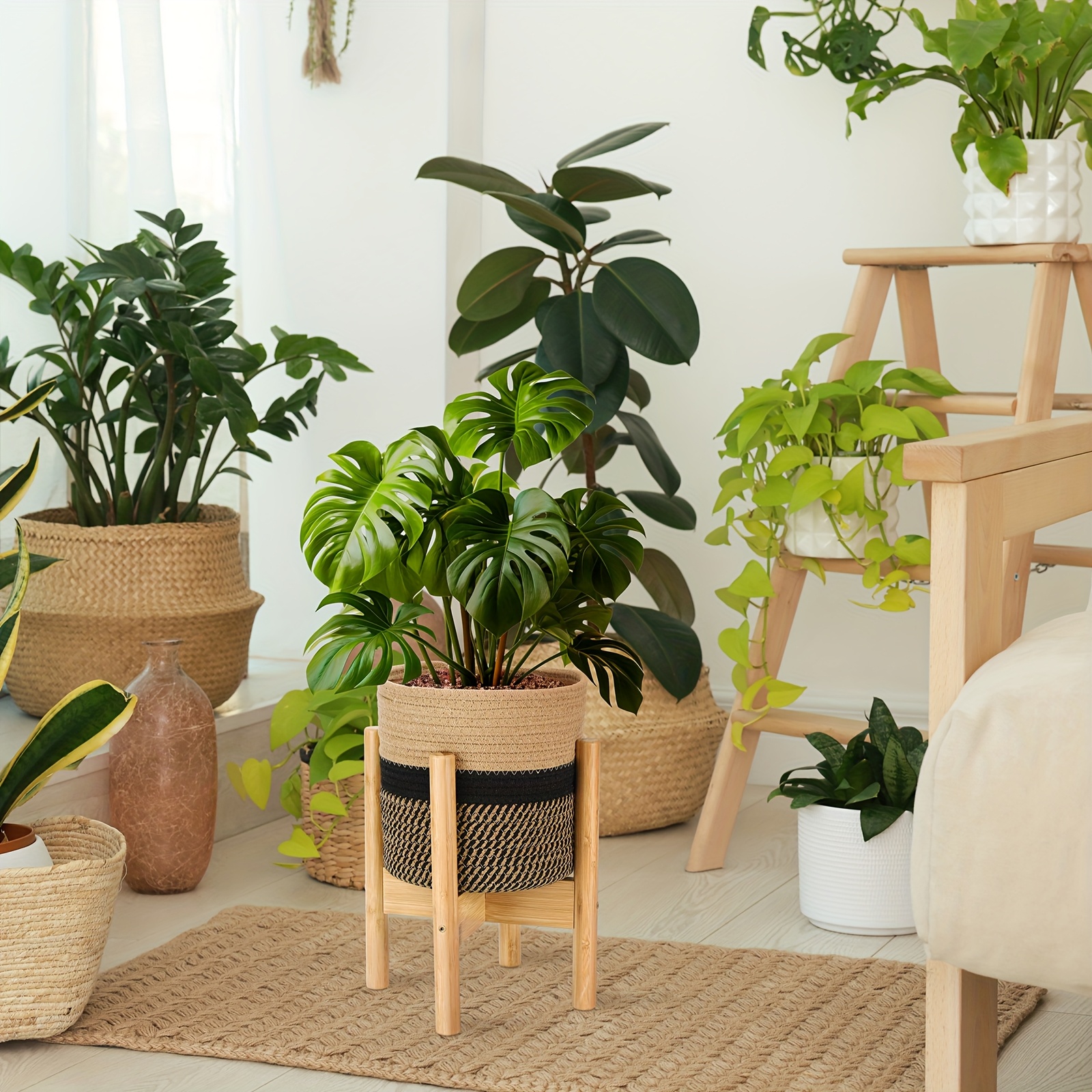 houseplant potting mix Houseplant Soil