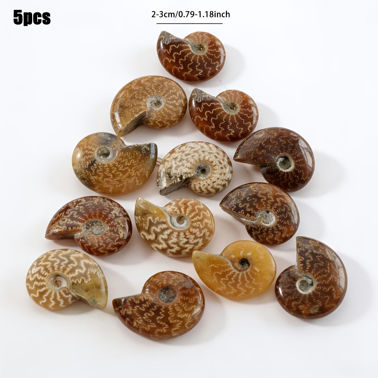 Hand-Carved Natural Chrysanthemum Stone, Seashell-Shaped Decoration
