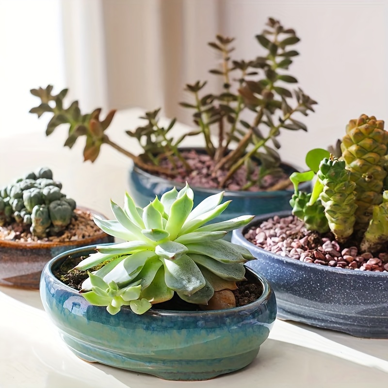 

Ceramic Bonsai Pots With Drainage Holes, Elegant Indoor Planters With Assorted Patterns, Floor Mount Ceramic Pot For And Bonsai, Accessory Included