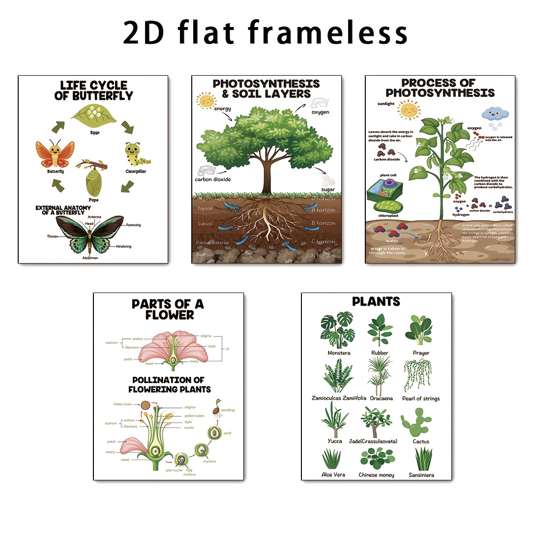TEMU 5pcs Education Set - Modern Vertical For Learning, Human Development Charts (birth To Adulthood), 8x10 Frameless Papers For Classroom & Decor,