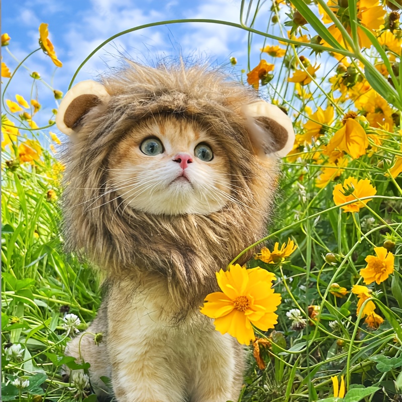 TONG Cat Costume Lion Mane Cat Wig Hat Cosplay Clothes Cap Dress up Puppy  Kitten Halloween Christmas Lion Cat