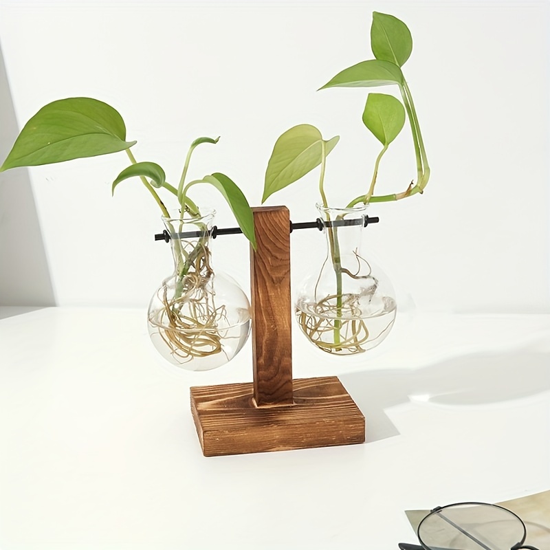 TEMU Support de en bois de T avec 2 clocons en verre, convient pour la décoration de bureau à , , , , dans , un cadeau pour les amateurs de plantes