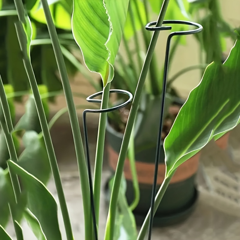 E-shop 2 Stück, Pflanzenstützstäbe aus Eisen, 15,7 Zoll * 2,48 Zoll, Pflanzenstützpfähle, Blumenbeet Pfähle Pflanzenstäbe Stützgeflechte Ringbögen