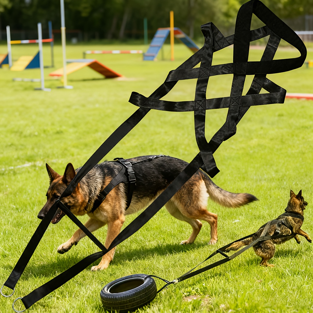 dog training tools sold on Temu United States