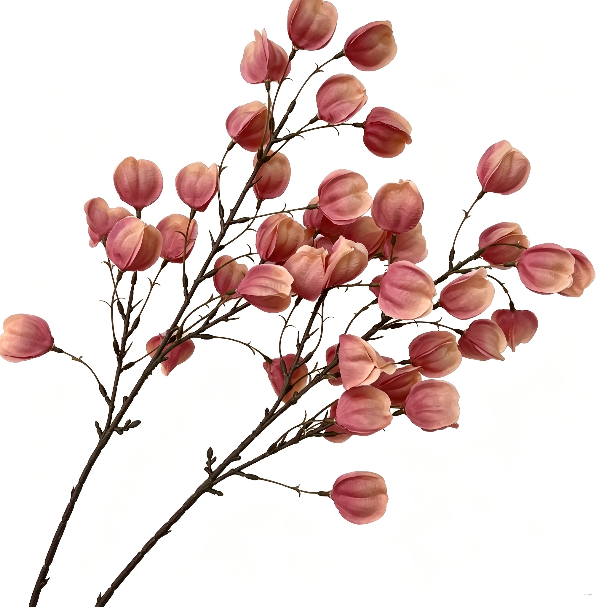 TEMU 2pcs Artificial Lantern Flowers Bouquet, Multicolor Koelreuteria Fruits Faux Flowers, Stems For Vase Arrangement, Wedding, Autumn, Christmas,