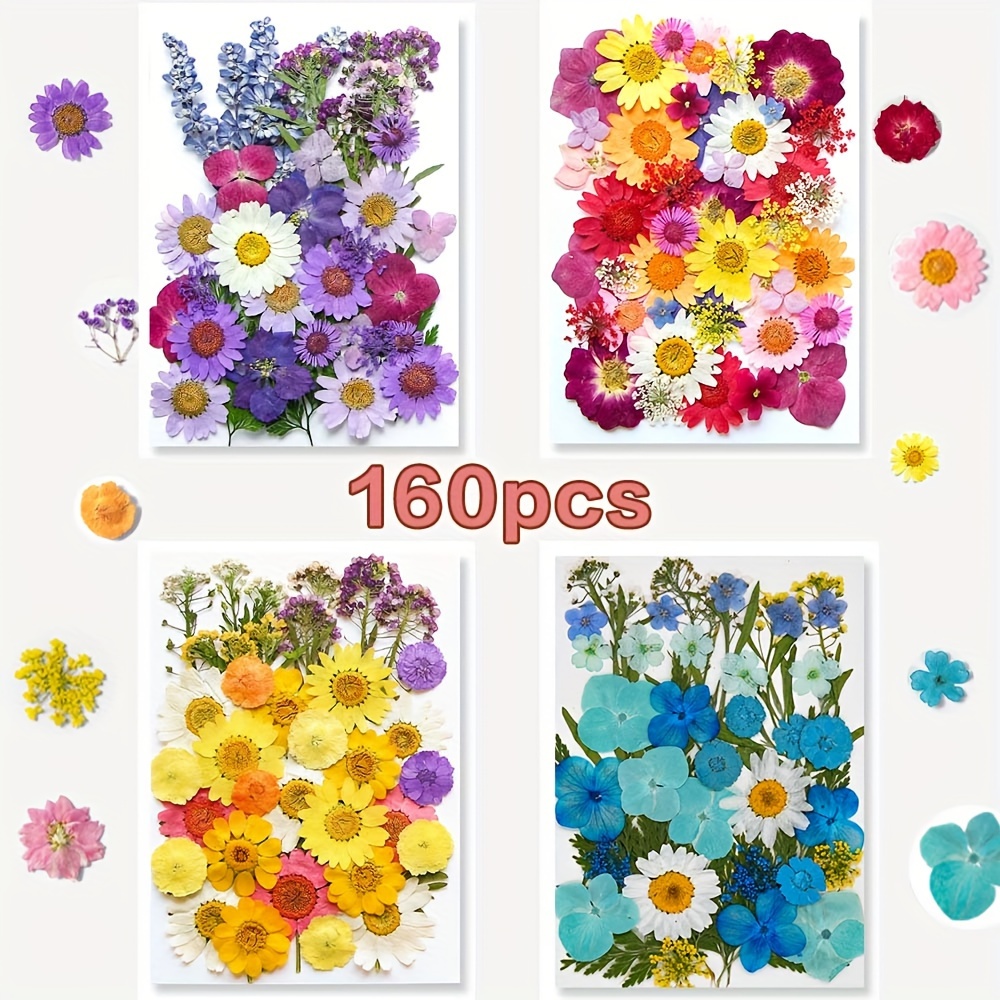 Image of 153-160pcs Vibrant Dried Pressed Flowers And Leaves Set - Nature-inspired Decoration Kit For Crafts, Resin Jewelry, Scrapbooking And More