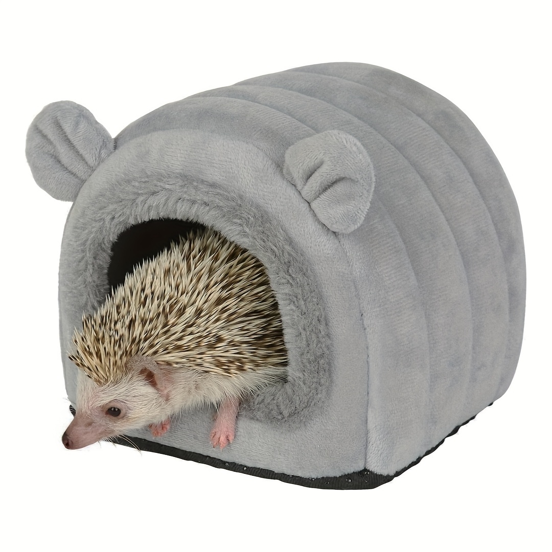 hedgehog supplies near me
