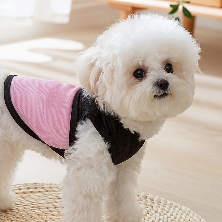 [Customized Colored Logo] - Pet Customizable - Breathable Mesh Vest - Suitable for Cats And Dogs - with Paw Print Design And D-Ring - for Leash Use - Available in Pink, Blue, Green, Lemon Yellow, And Light Purple - with 4 Sizes to Choose from