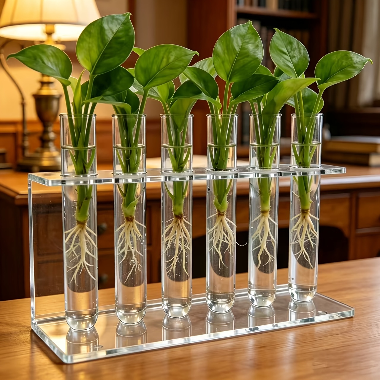 6 tube acrylic   planter rack clear hydroponic plant vase holder with transparent test   home office decor for   succulents herbs