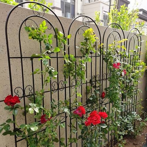 de hierro para jardín exterior, de alambre para plantas trepadoras como y rosas, soporte para del dinero, soporte de hierro para , soporte para rosas y peonías, de soporte para plantas trepadoras en jardín exterior, soporte para plantas