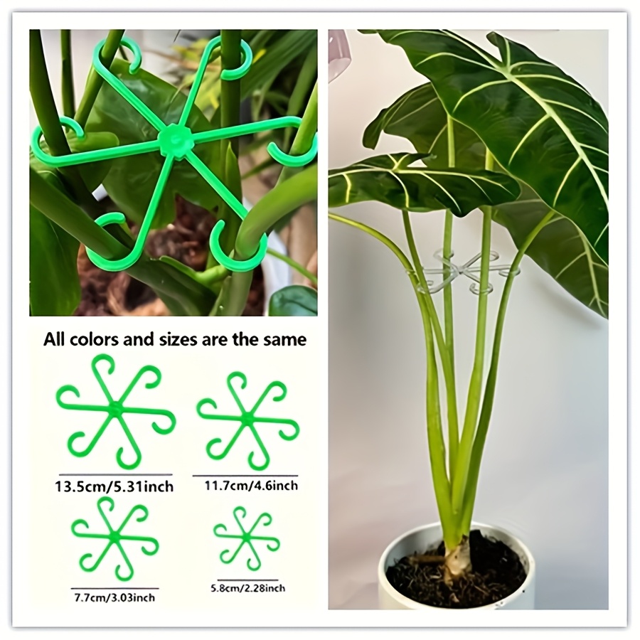 TEMU 4 Pezzi Supporti per Piante - Design Pieghevole a U in Plastica , Presa Delicata per Bamb羅, Adatti per /Esterna e Piante in Vaso - Previene il