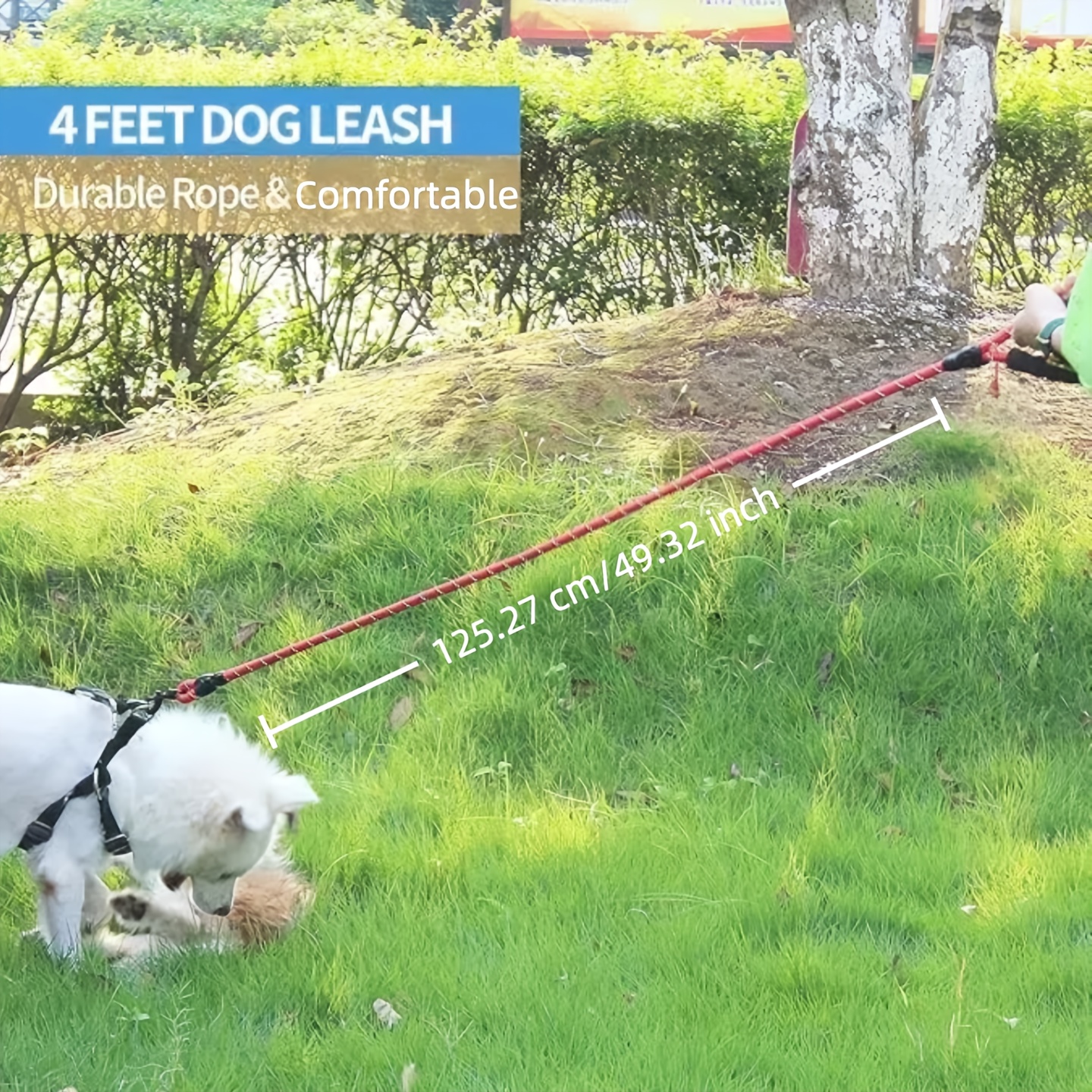 Dog Leash with Padded Handle and Reflective Threads for Small to Large Dogs, 4.11 ft, Multiple Colors