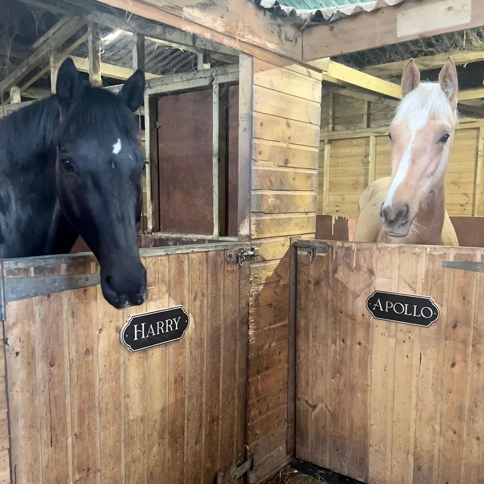 Plaque de box nom du cheval personnalisé panneau chevaux écurie
