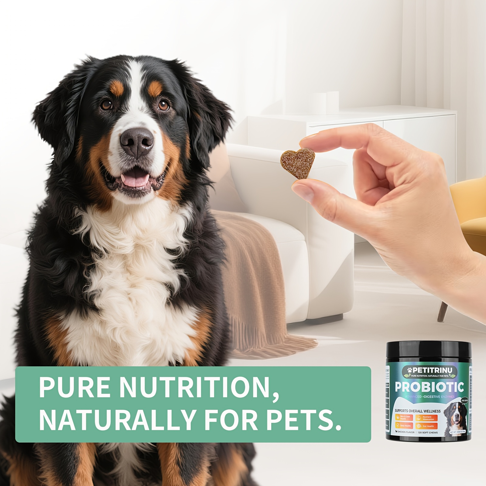 PETITRINU Probiotic For Dogs | Advanced Digestive Support for Skin, Coat & Gut Health | Flavor: Chicken
