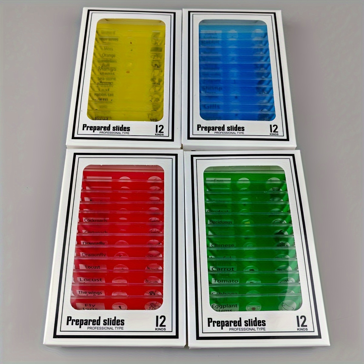 

Set 48pcs - Educational Specimens For , Includes , , In , , , Red - Abs For Learning, English