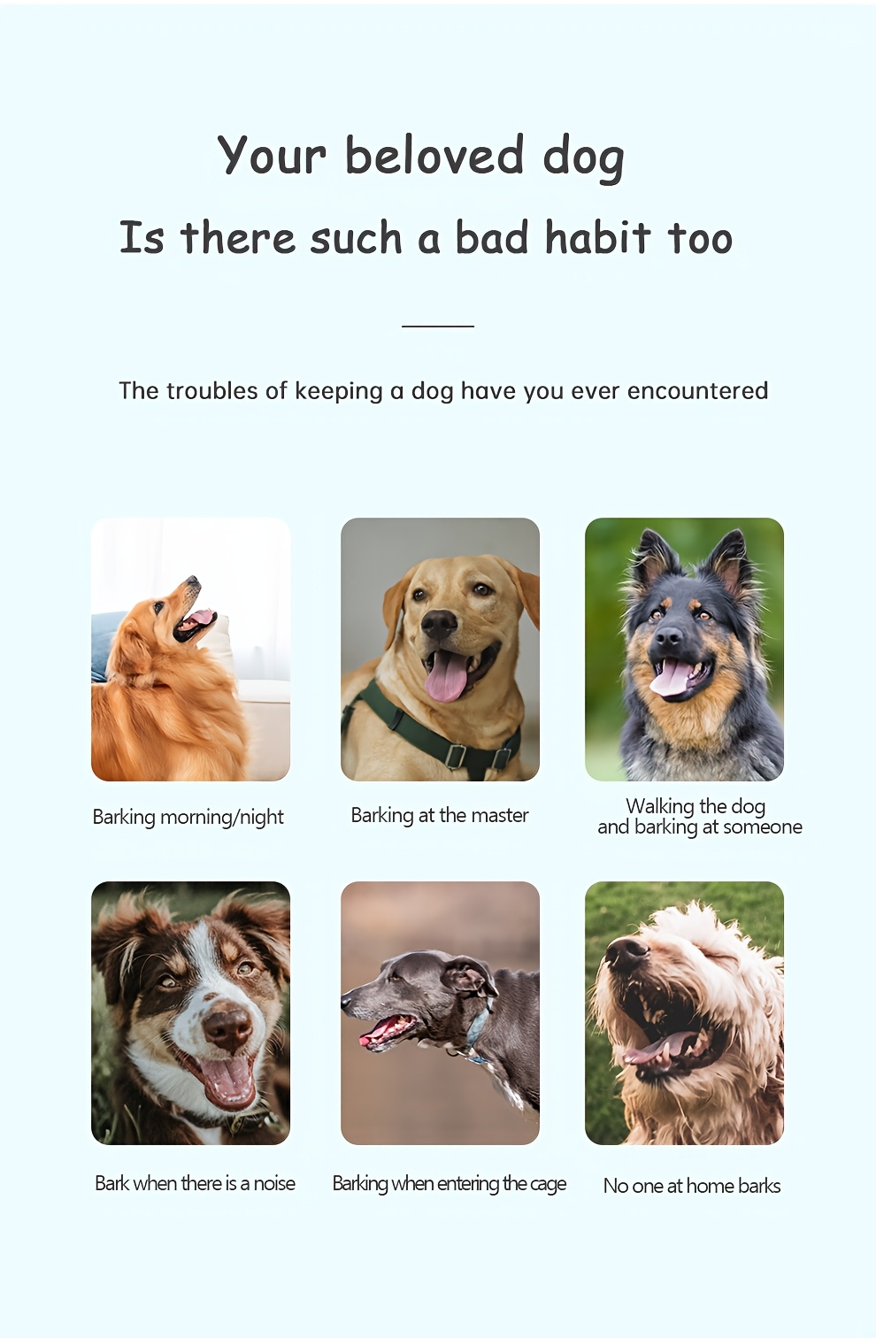 Stop Barking Puppy Barking In The Morning Stop Dog Barking In The