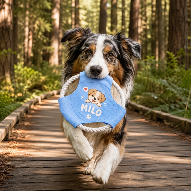 Customizable Pet Name Flying Disc for Dogs