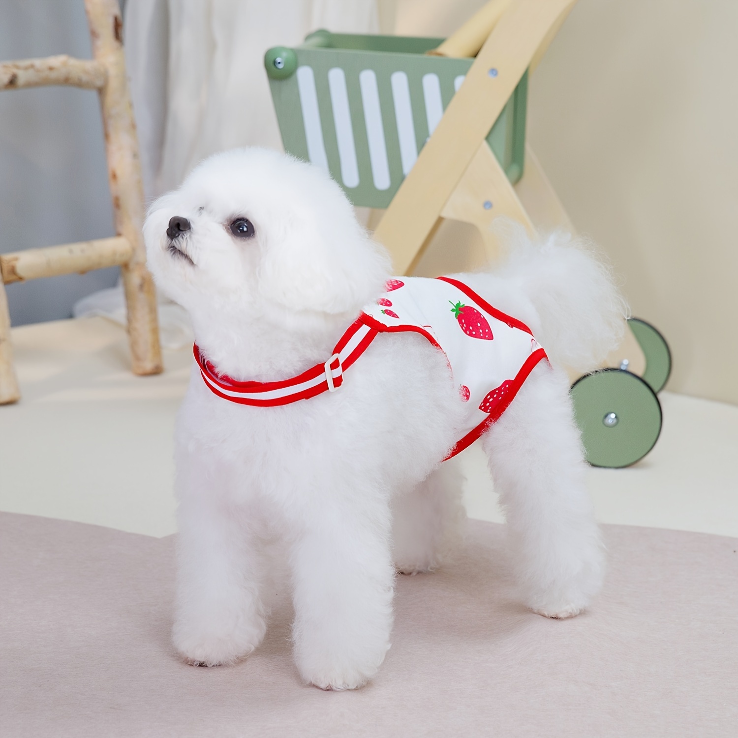 Pet Physiological Pants Menstrual Pants Cat Sterilization Suit Pet Clothes Spring And Summer Physiological Pants