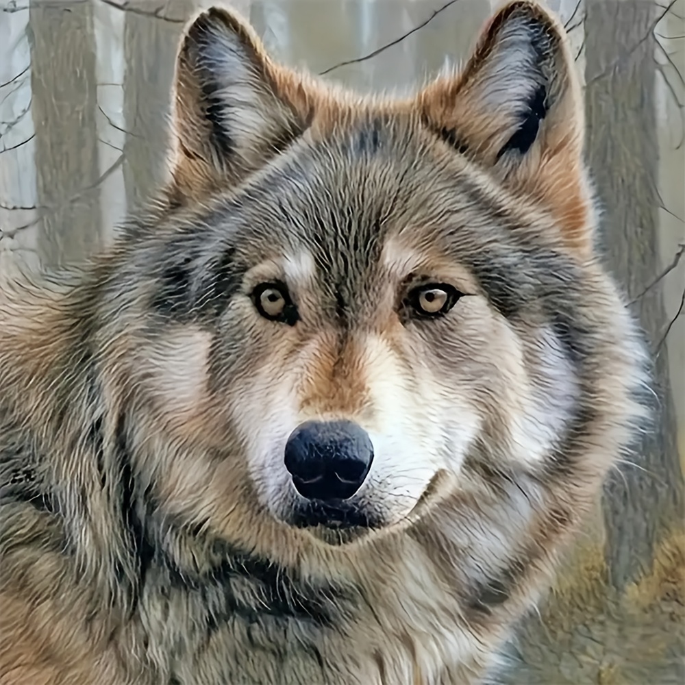 TEMU 1 Set - Grauwolf Thema Kreuzstich Malset, Kunst Nadel und Faden Stickzubehör, 11CT Kreuzstich Stickerei Dekoratives Malerei, Premium Kreuzstich