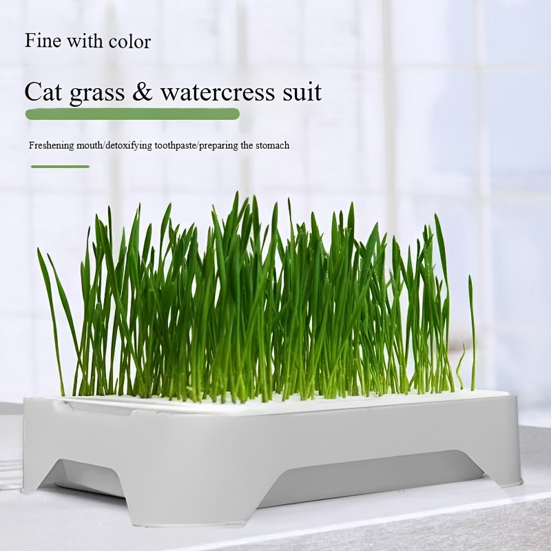 

Hydroponic Cat Grass Pot Without , Plastic Pet Bowl, Hydroponic Seed Germination Kit With Lid - Suitable For , Mung Beans, , Wheat And Cat Grass Soilless Germination Tray - Plastic, No Power Required