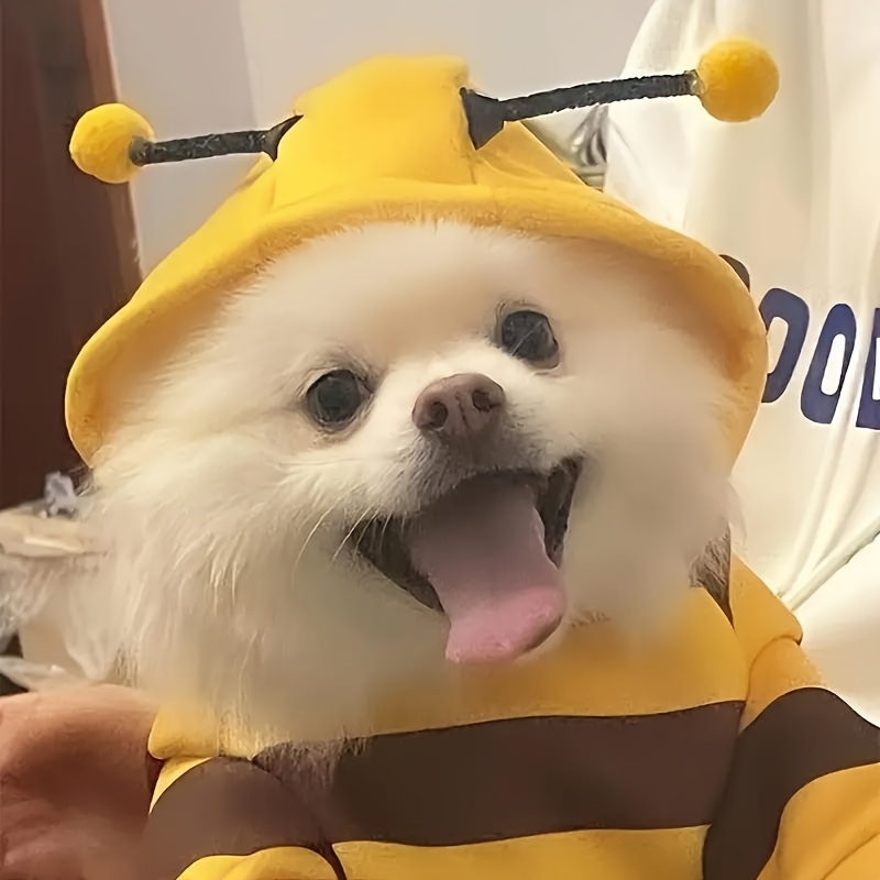 1 piece cute bee themed pet sweater for small to medium dogs and cats cozy   costume yellow striped designs perfect easter gift idea Product details 0