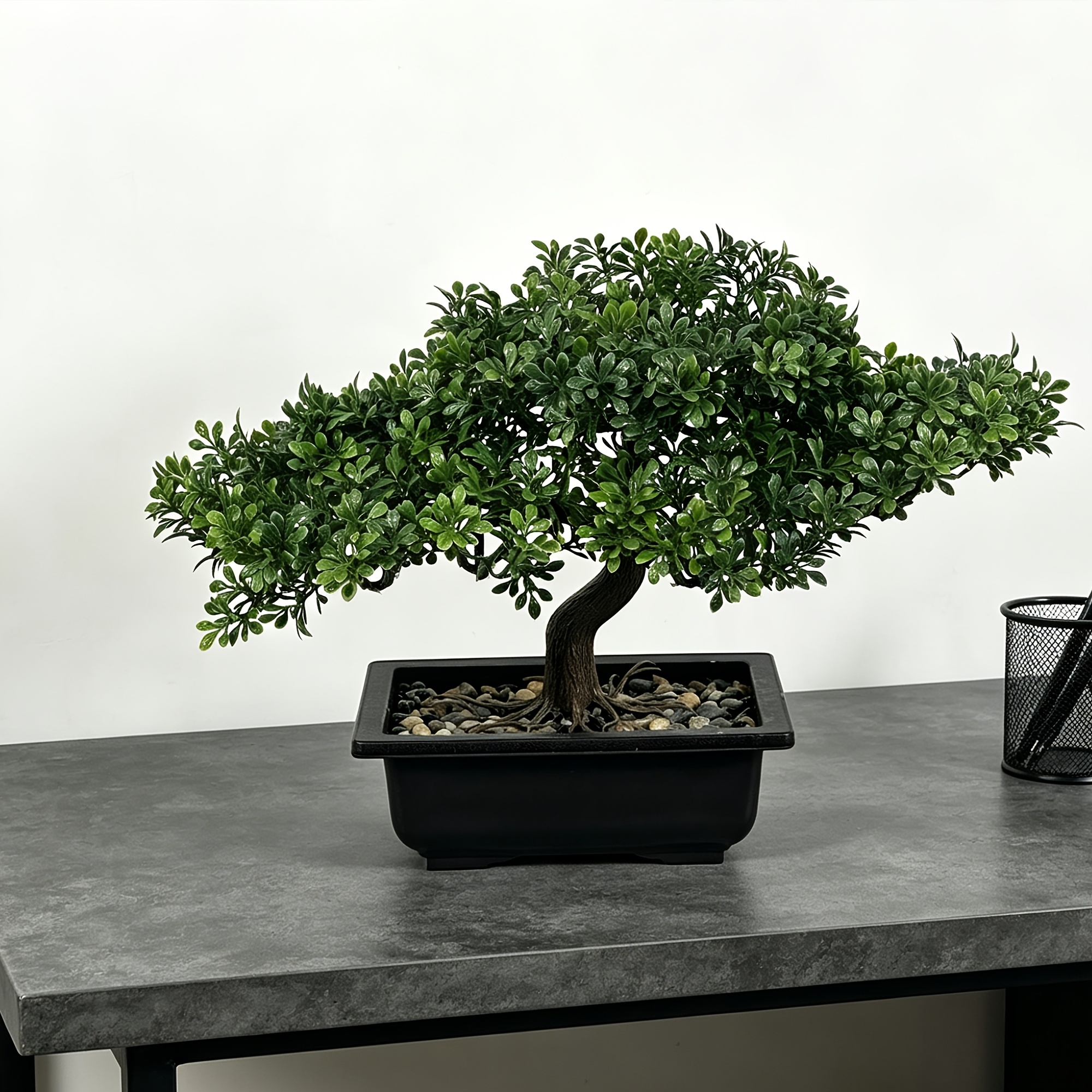 Artificial Aglaia Odorata Bonsai with Stone Accent