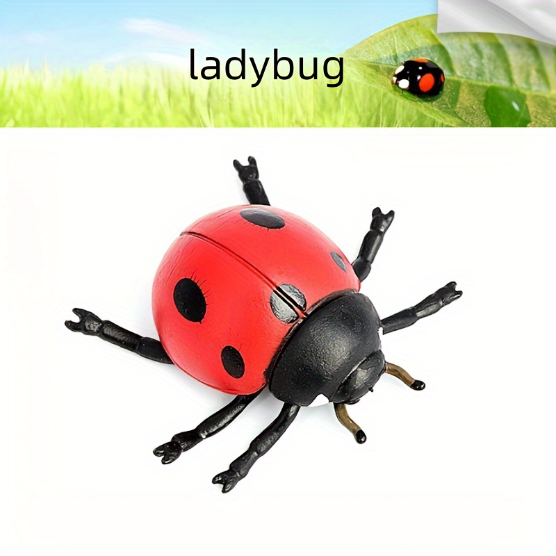 Insect Simulated Flying Insect Model, Mini Intellectual Toys For Children,  Praying Mantis, Ladybug, Bee, Fly, Cicada, Wasp, , Grasshopper, Toy  Decoration,animal Decoration - Temu United Kingdom