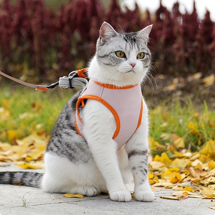 Dog Leash with Chest Strap for Small Dogs, Adjustable Vest Style