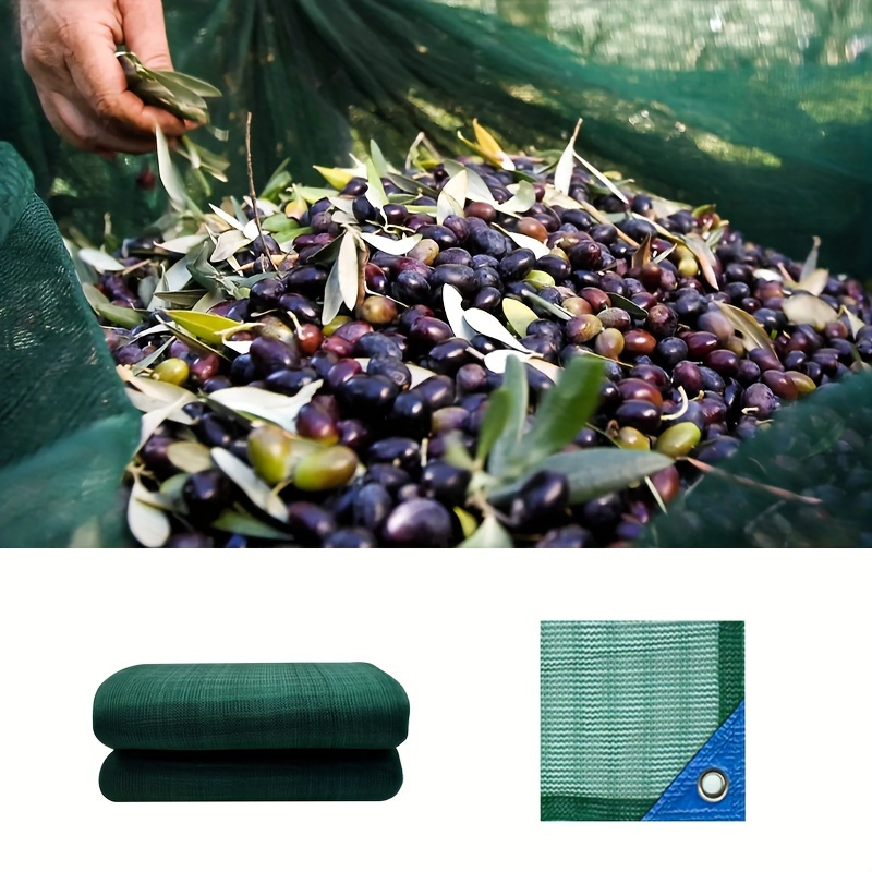 

Filet de récolte d'olives en HDPE - Filet de aux UV pour la des fruits et des noix, matériau plastique , couverture de protection des fruits pour les arbres