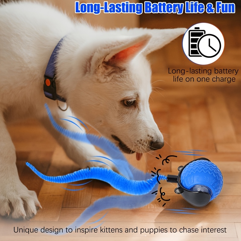1pc MIAOQUANJI Interactive Cat Toy with Automatic Rolling Ball - USB Rechargeable, Smart Tail Ball for Indoor Cats, Durable Plastic, All Breeds & Sizes, Interactive Playtime, Cat Toy, Playful Design, Smooth Surface 8 1pc MIAOQUANJI Interactive Cat Toy with Automatic Rolling Ball - USB Rechargeable, Smart Tail Ball for Indoor Cats, Durable Plastic, All Breeds & Sizes, Interactive Playtime, Cat Toy, Playful Design, Smooth Surface - Image 8
