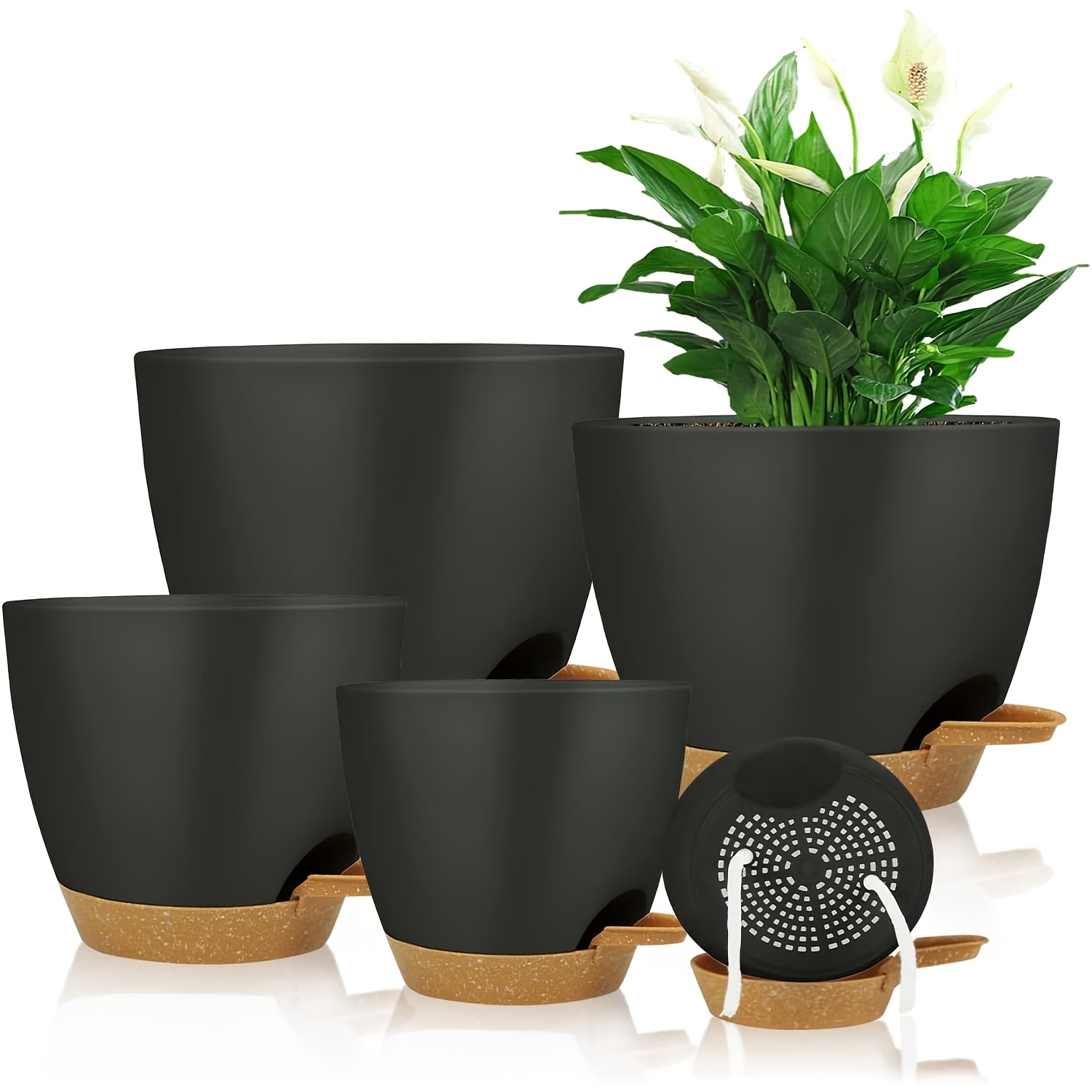 flowers pots sold on Temu United States