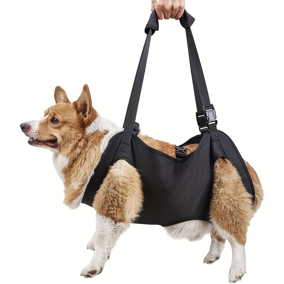 Dog support harness best sale