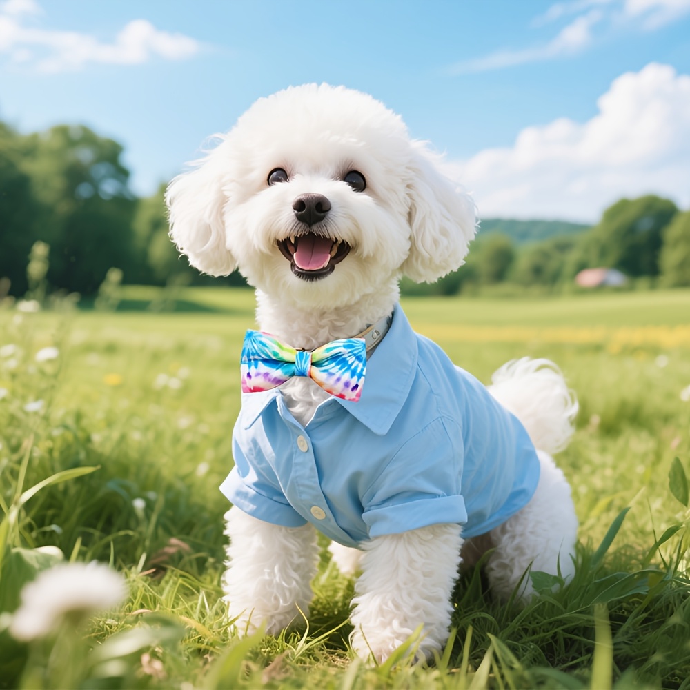 Colorful Bowties