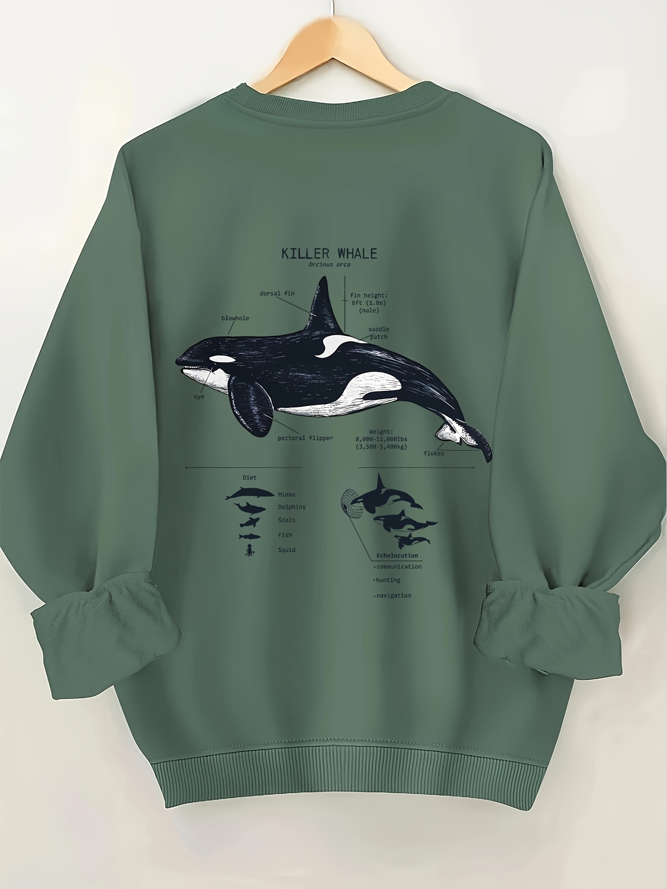 Gemütlicher Damen-Pullover mit Wal-Motiv – Weicher  Langarm-Polyesterpullover im Ozean-Design, Grün für Herbst und Winter