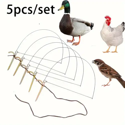 Medium sized Bird Trap For Chicken Pheasant Wild Duck - Temu