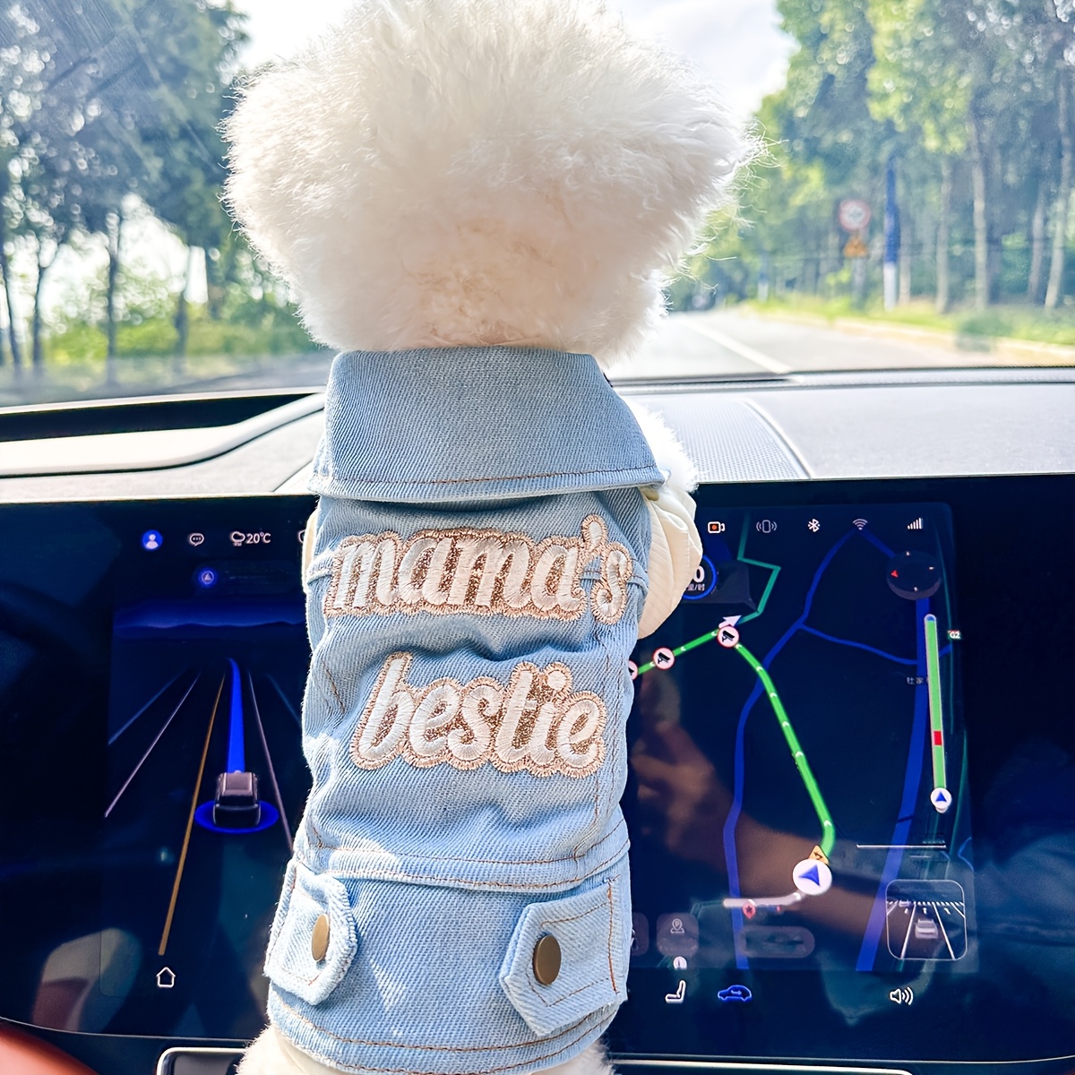 veste en denim synthétique petite taille Temu Switzerland