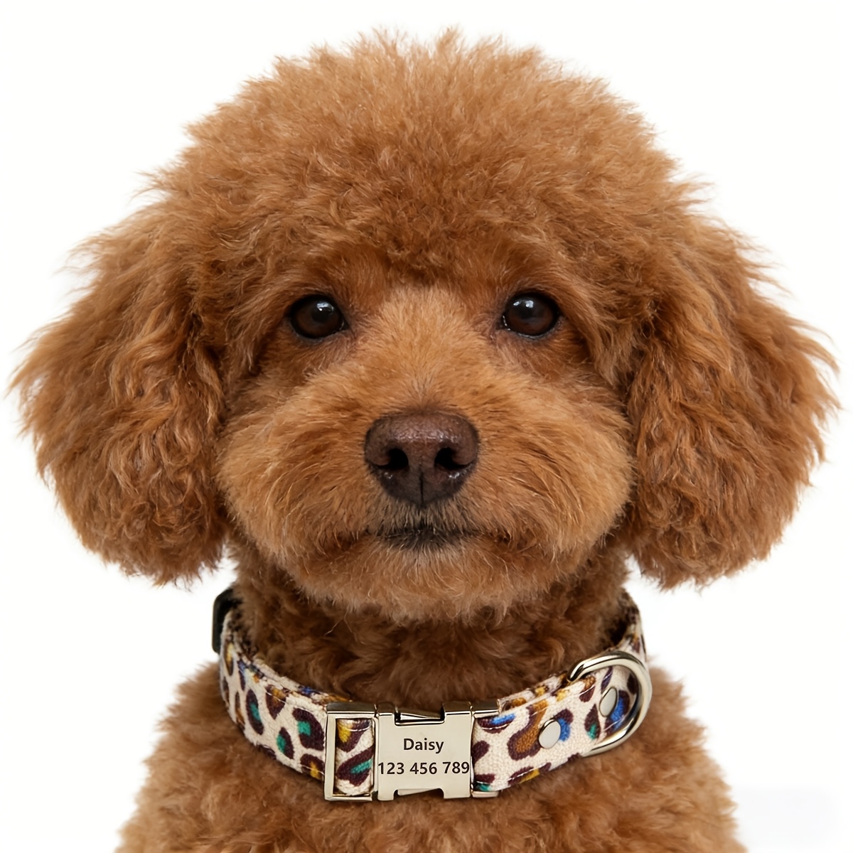 Customized Leopard Print Dog Collar and Leash Set