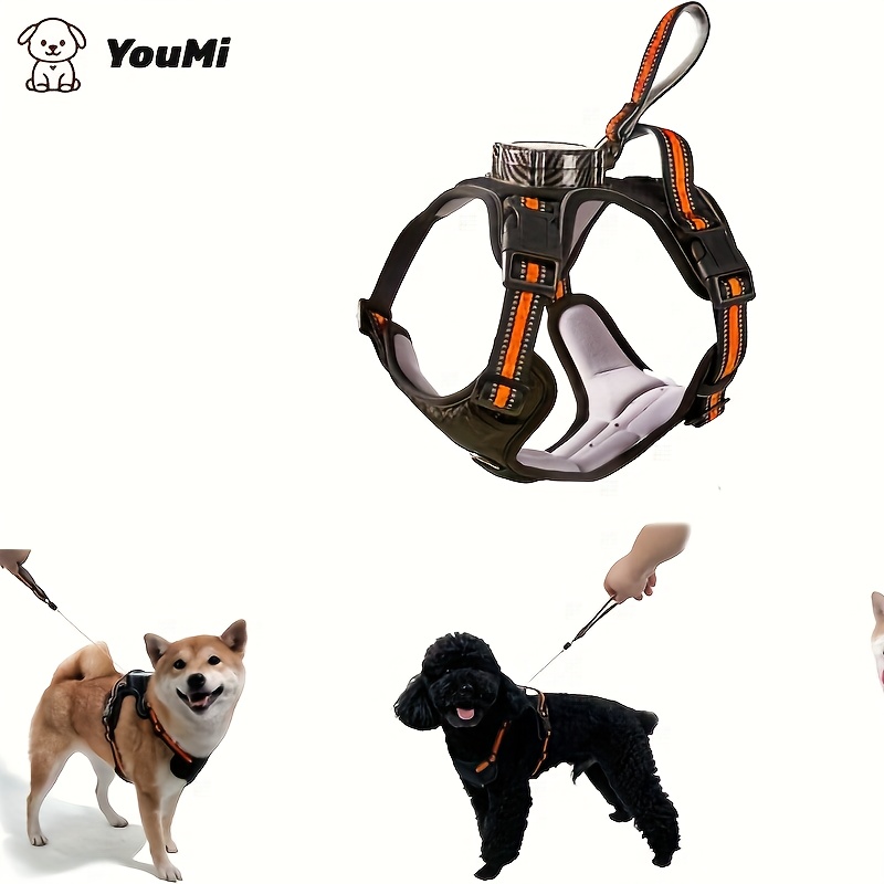 All-in-One Dog Harness, Collar, and Leash Set
