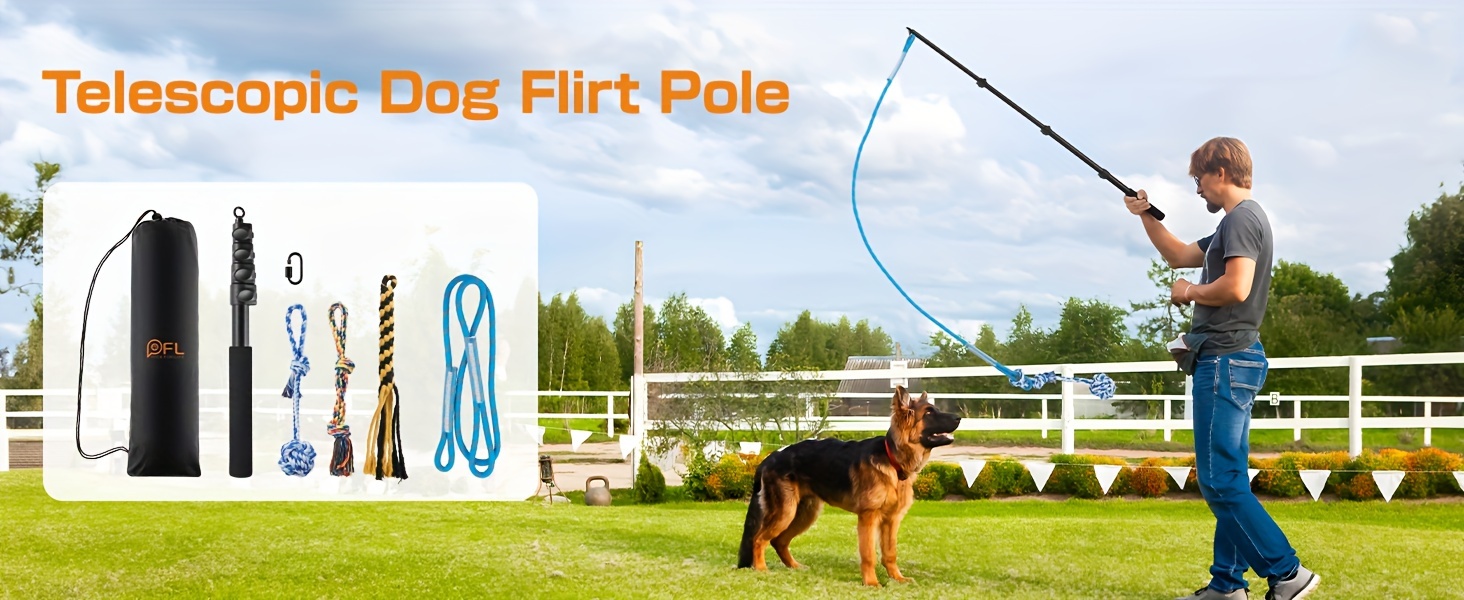 flex pole dog training