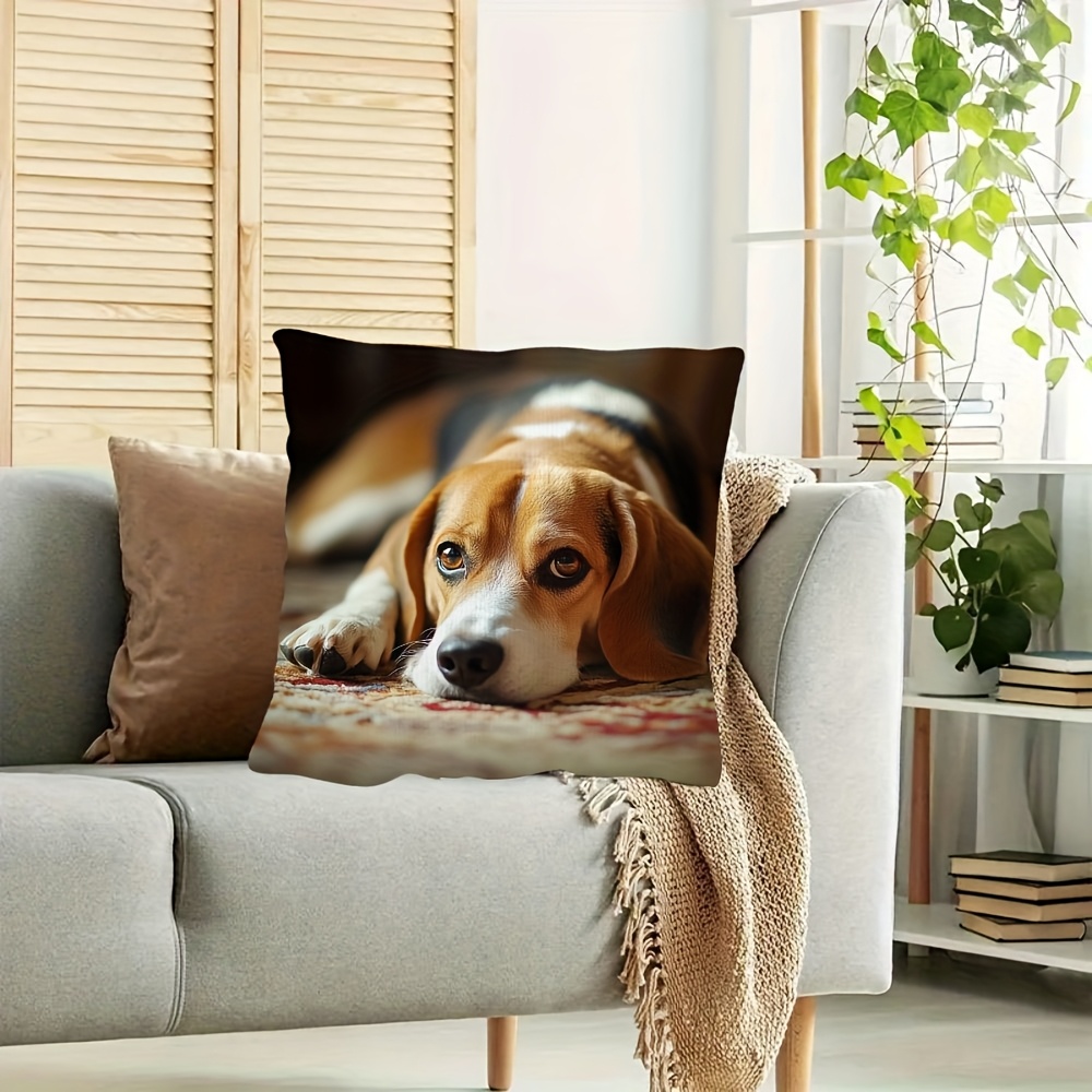 Perro Cojin La Resistencia Cojin Perro Broncano TVE Cambia El