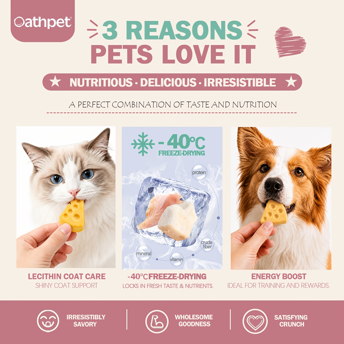 oathpet premium freeze dried cheese   for dogs cats   chicken cheese high protein training rewards daily snacks 37 count Product details 5