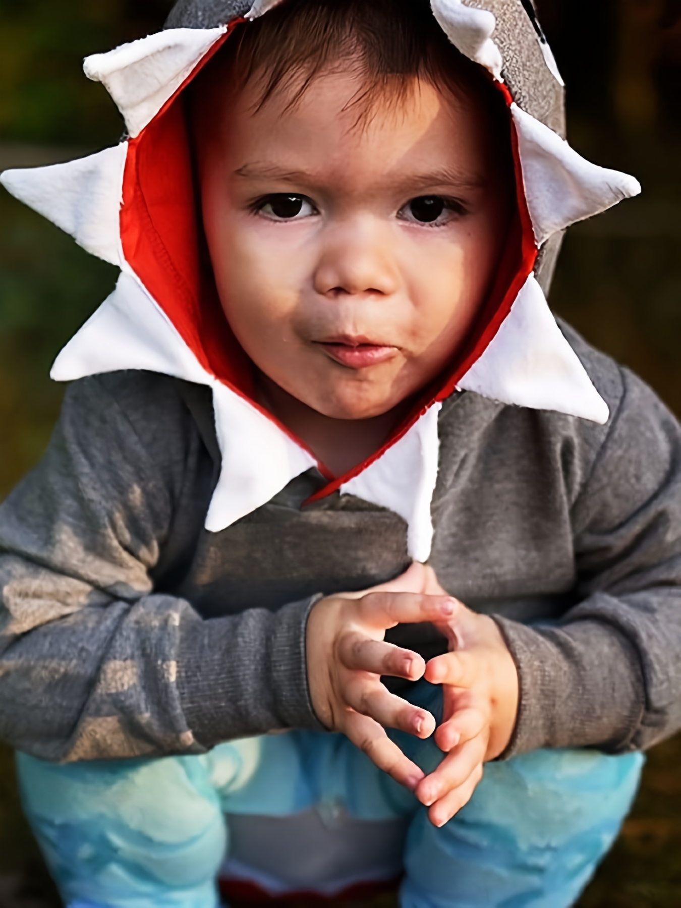 Baby Boy Shark Hoodie Casual Long Sleeve Hooded Pullover Sweatshirt Toddler  Fall *-2T, Casual Wear, Fall Wardrobe, Loose Fit, Animal Print Hood