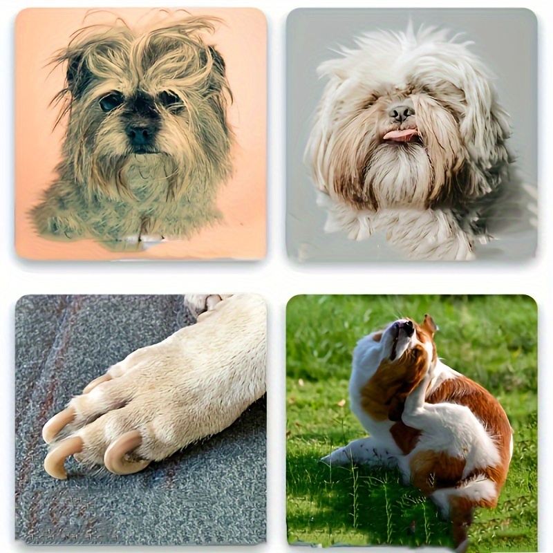 Complete Dog Grooming Kit Stainless Steel Brush Nail Temu