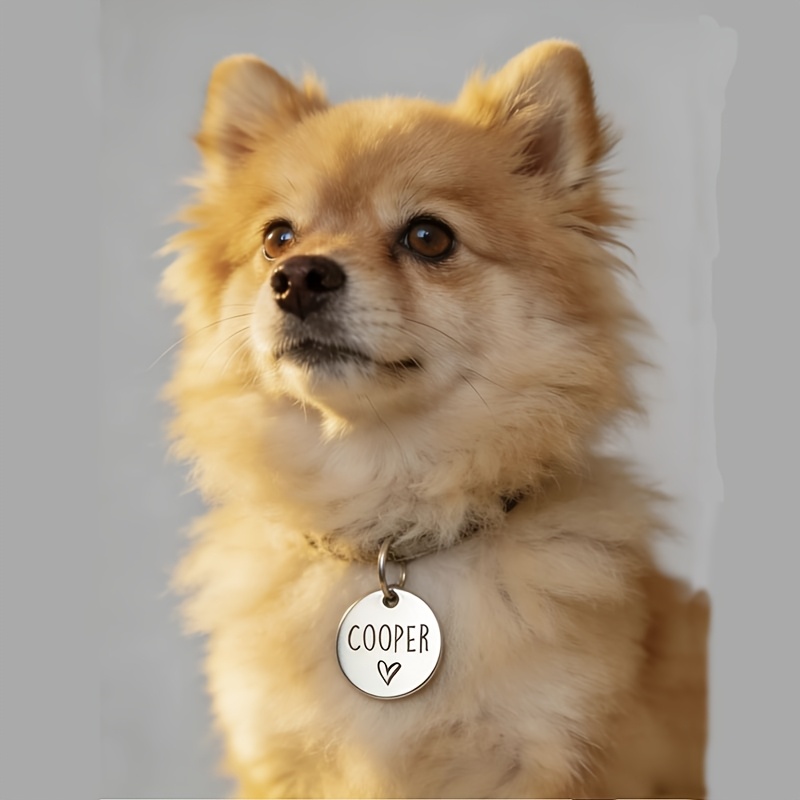 Double-Sided Engraved Pet Tag, Custom Easy Round Metal Anti-Lost Tag
