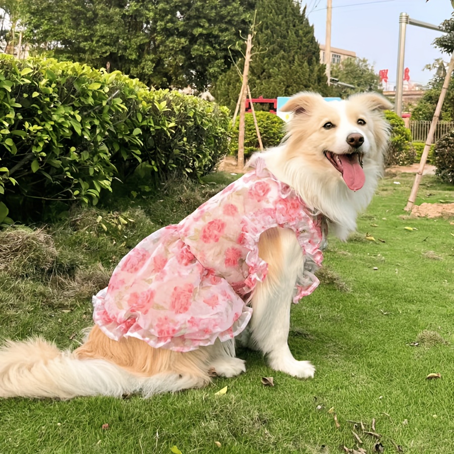 green emerald velvet dress Giselle Noir Dog Dress Set main image 1