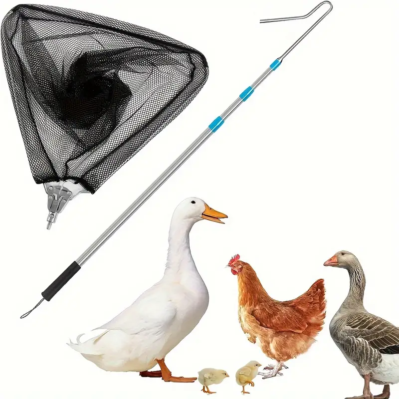 1 Pack, Chicken Net And Chicken Catcher Leg Hook, Stainless Steel  Retractable Long Chicken Catcher, Farm Tools For Poultry Chicken Turkeys  Geese Ducks