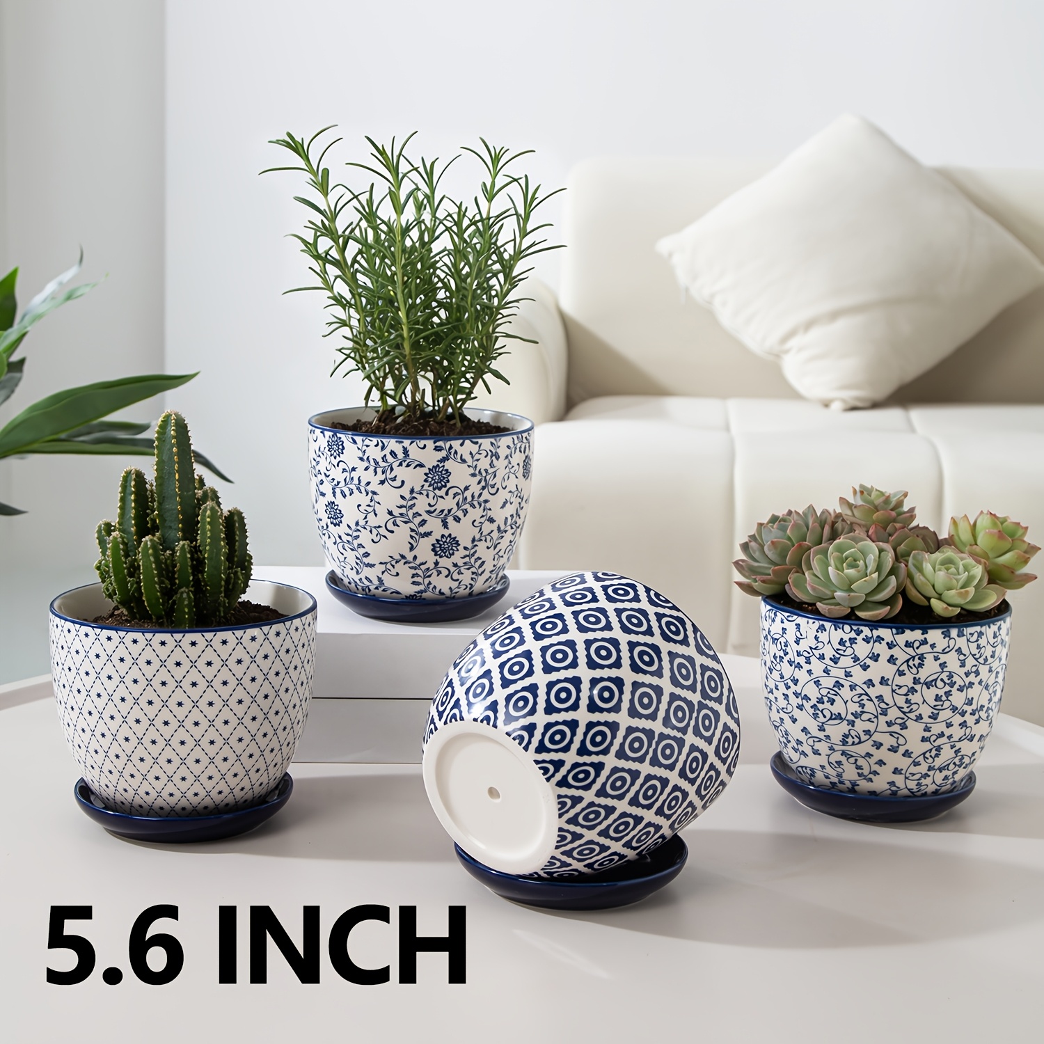 small plant in pot Ceramic Flower Pot with Drainage and Bamboo Tray
