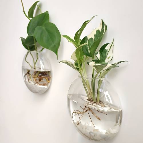 2pcs 4pcs wall mounted glass vase set for hydroponic plants home office living room decor round planters for indoor and outdoor use housewarming gifts or plant themed d cor